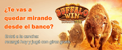 Experiencia de Juego Gélida